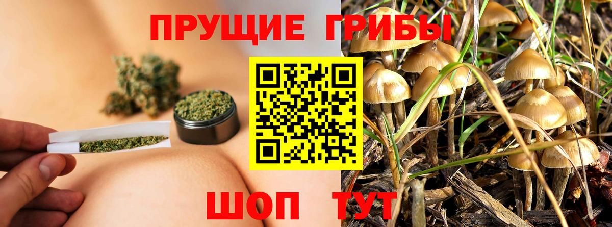 Галлюциногенные грибы мицелий  купить закладку  Тутаев  Вход с VPN 